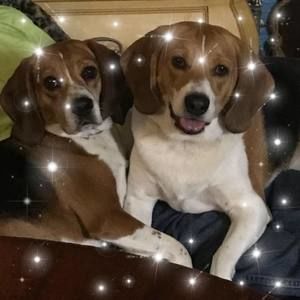 Meet your Posher, Joanne